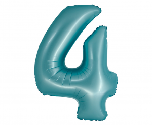 CHSJN4.png