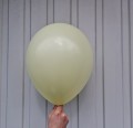 20240318_115210.jpg
