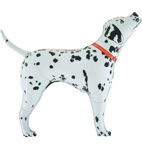 173-dalmata-bingo.jpg